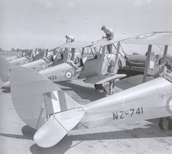 Tiger Moths, avions d'entraînement néo-zélandais